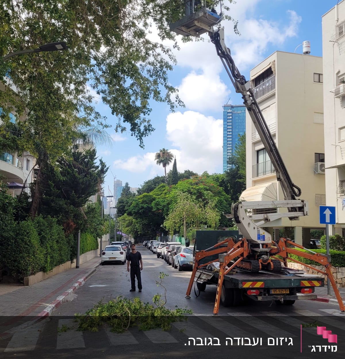 אדם בגיזום עץ עם מנוף ברחוב עירוני